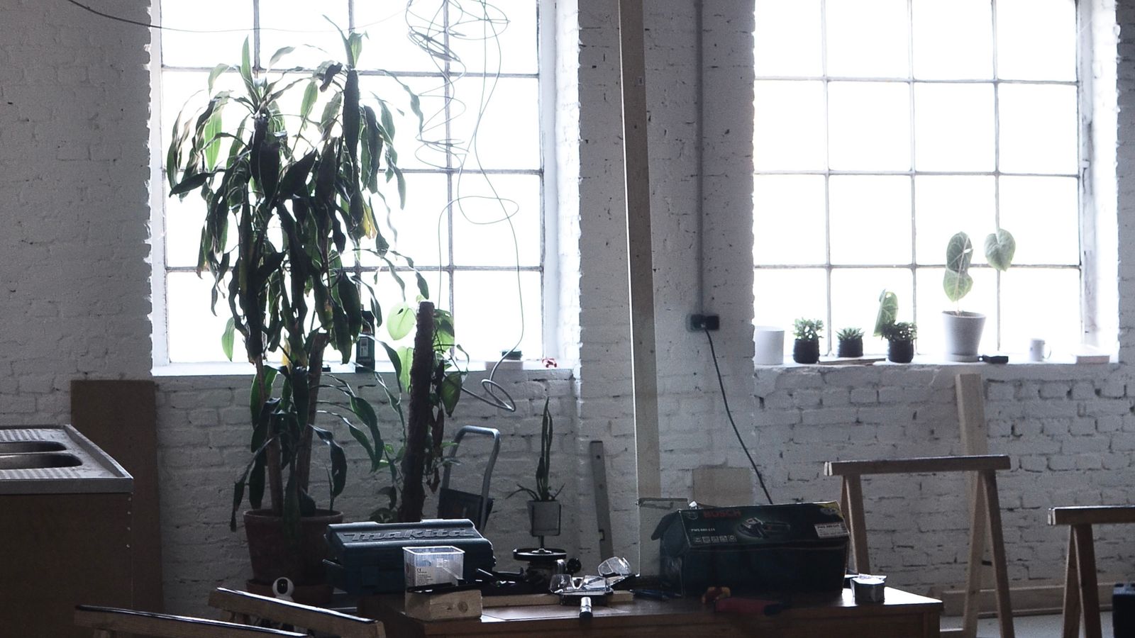 Spacious sunlit studio with a wooden trestle table, potted plants, and large paned windows